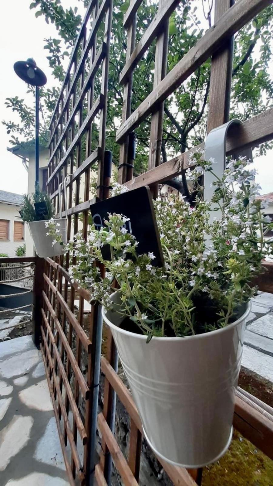 Holiday home Andromeda Pelion Portaria (Magnesia)